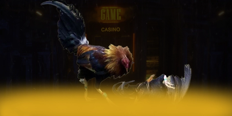 SA88 - Lời kết với góc nhìn khách quan.