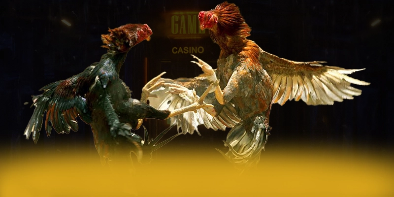 
Khám phá N88 - Cổng trò chơi uy tín số 1 cho người chơi
