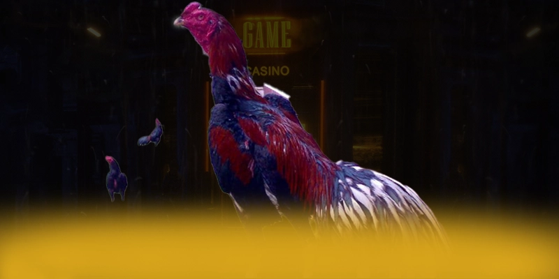 N88 - Cổng trò chơi được cộng đồng săn đón được giới cược thủ đánh giá cao – Khám phá chính sách thưởng tại N88