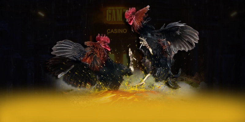 SA88 - Thương hiệu game trực tuyến sở hữu top trò chơi nổi bật được game thủ lựa chọn – Tìm hiểu SA88