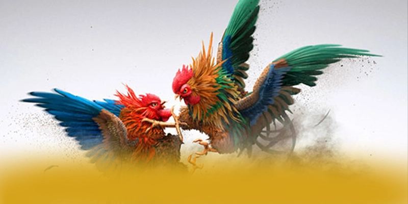 
Khám phá hành trình của GO8 - Cổng game có thưởng lớn tại Việt Nam
