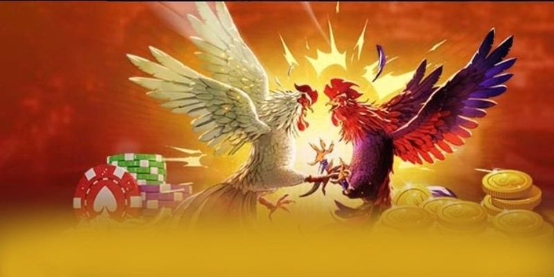 SA88 - Sân chơi phổ biến hàng đầu trên thị trường