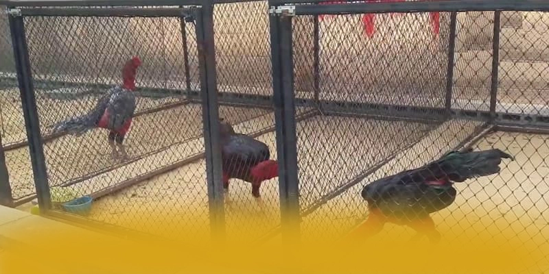 WIN79 - Tổng kết với góc nhìn khách quan.