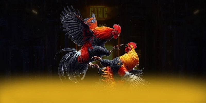 
Khám phá thế giới của BL555 - Trang game uy tín số 1 cho người chơi
