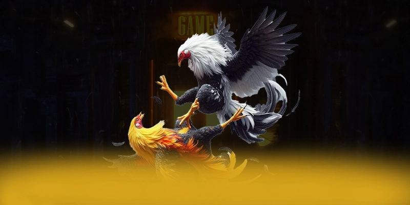 B52 - Ứng dụng giải trí sở hữu kho game phong phú được đánh giá cao – Tìm hiểu B52