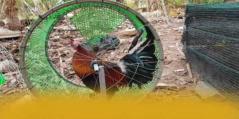 UU88 - Sảnh game được đánh giá cao về độ tin cậy được giới chuyên môn đánh giá cao – Khám phá cơ chế bảo mật hiện đại tại UU88